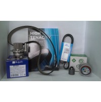 KIT DISTRIBUZIONE INAP ACQUACSERV AUDI A4 AVANT 8E5B6 19 TDI MOT AVF